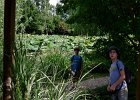 bassin aquatique (1)